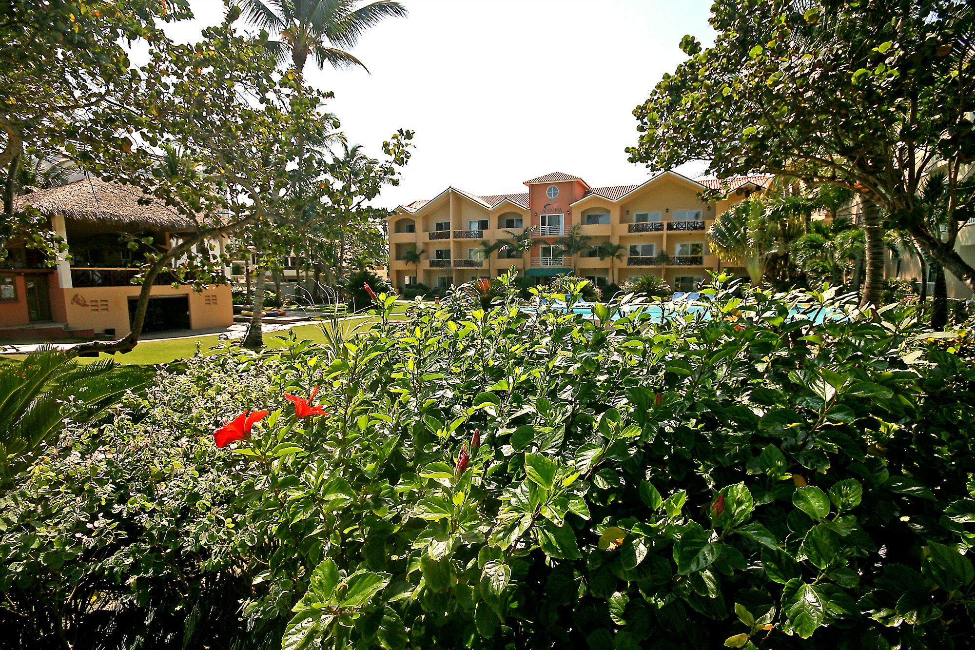 Agualina Kite Resort Cabarete Exterior foto